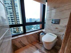 The Ritz-Carlton  (D9), Condominium #638710631